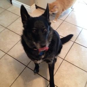 Meet your Posher, Terry j c